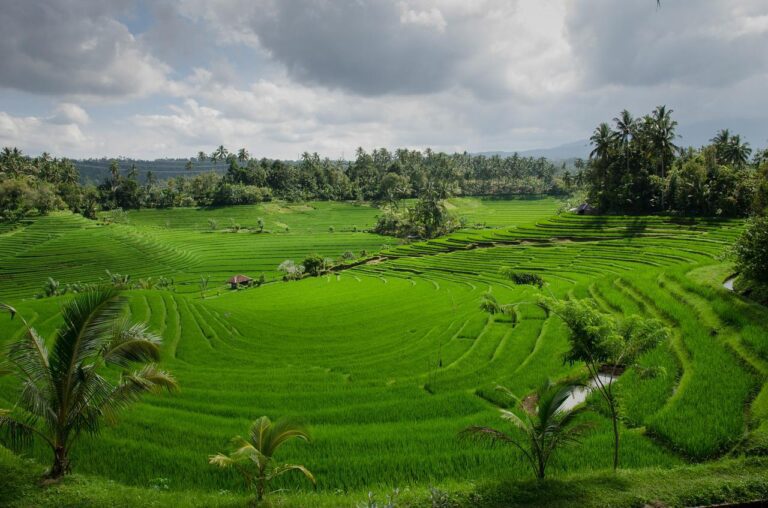 15 Best Things to do in Bali Indonesia – 2024