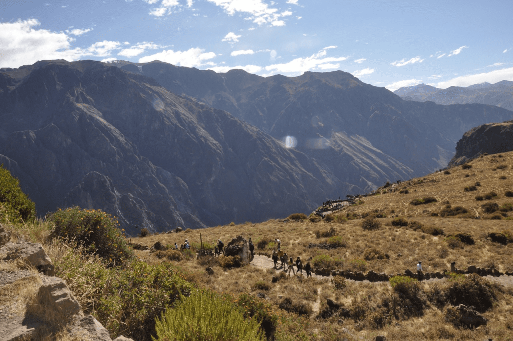 Cola Canyon Peru